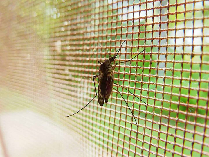 Como fazer tela mosquiteiro?